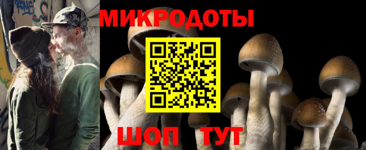 Псилоцибиновые грибы мицелий  Галлюциногенные грибы Psilocybe  Удомля  Вход с VPN 